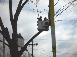 treetrimming21 HU Electric Department Crew